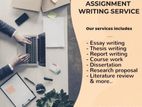 Highest Quality Assignment Support