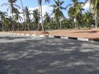 Highly Commercial Land Plots For Sale Kurunegala 5 Dambadeniya Rd