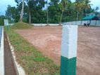 Highly Luxurious Land Plot in Pannipitiya Palanwaththa P32