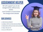 Highly Professional Assignment Assistance