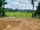 HIGHLY RECOMMEND LAND PLOTS IN COLOMBO (PADUKKA )