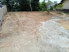 Highly Residencial Bare Land for Sale in Palawatta