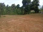 Highly Residencial Land for Sale in Homagama Artigala