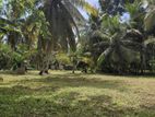 Highly Residential Bare Land for Sale – Ja-Ela