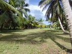 Highly Residential Bare Land for Sale – Ja-Ela