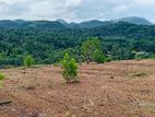 Highly Residential Land for Sale in Avissawella