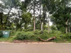 Highly Residential Land for Sale in Balagolla Kandy