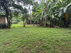 Highly Residential Land for Sale in Bokundara Piliyandala