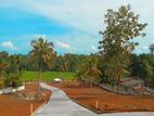 Highly Residential Land for Sale in Dambadeniya L08