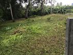 Highly Residential Land for Sale in Godagama, Matara