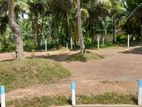 Highly Residential Land for Sale in Kandana