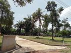 Highly Residential land for sale in Mahavila Panadura