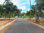 Highly Residential Land for Sale in Mallawagedara H15