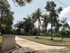 Highly Residential Land for Sale in Panadura Dibbedda