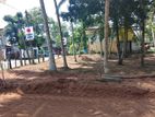 Highly Residential land for sale in Panadura Hirana 457 Bus Road