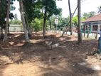 Highly Residential land for sale in Panadura Hirana 457 Bus Road
