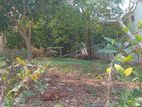 Highly Residential Land for Sale in Papiliyana