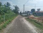 Highly Residential Land for Sale in Piliyandala Miriswatta
