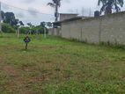 Highly Residential Land For Sale in Thalagala