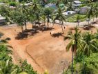 Highly Residential Land For Sale In Thunadahena Road Malabe
