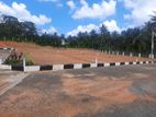 Highly Residential Land for Sale In Watareka Homagama