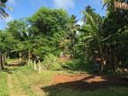 Highly Residential Land for Sale - Panadura (100M/1 min to Galle Road)