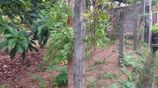Highly Residential Land for Sale - Panadura (700m/5 min to Galle Road)