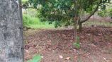 Highly Residential Land for Sale - Panadura (700m/5 min to Galle Road)
