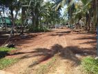 Highly Residential land for sale Panadura Hirana 457 Bus Road