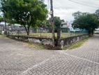 Highly Residential Land in Dehiwala - Willing to Divide the Property