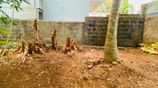 Highly Residential Land in Piliyandala