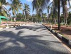 Highly Residential Land Plots For Sale In Divulapitiya Colombo 5 Road