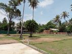 Highly Residential Land Plots For Sale In Panadura Dibbedda