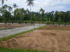 Highly Residential Land Plots in Athurugiriya Town(S20)