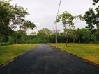 Highly Residential Lands in Tangalle