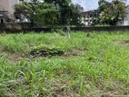 Highly Residential Solid Land 30 Perch at Kotte