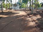 Highly Valuable Land for Sale in Dibbedda Panadura ‘driftwood’