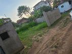 Highly Valuable Land for Sale in The Heart of Kurunegala
