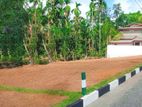 Highly Valuable Land for Sale in Watareka