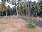 Highly Valuable Land Plots For Sale In Near to Mirigama