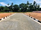 Highly valuable land plots For Sale In Negombo