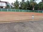 Highly Valuable Land Plots Sale In Boralesgamuwa