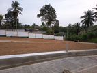 Highly Valuable Land Plots Sale In Pitipana