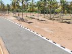 Highly Valuable Residential land for sale in Dambadeniya