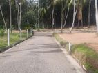 Highway Corner Residential Land Plots For Sale Near to Mirigama Gampaha