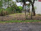 Higly Residential Land For Sale In Homagama Pitipana