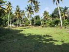 HIKKADUWA : 136P HISTORIC LAND FOR SALE at Kahawa