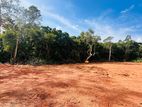 HIKKADUWA : 42.96 PERCHES PRIME TOURISM LAND FOR SALE