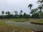 Hikkaduwa Land for Sale