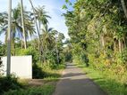 Hikkaduwa, Seenigama Raod 43 Perches of Land with an Old House for Sale